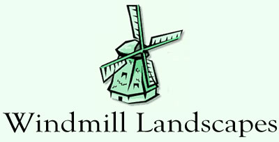 Windmill Landscapes