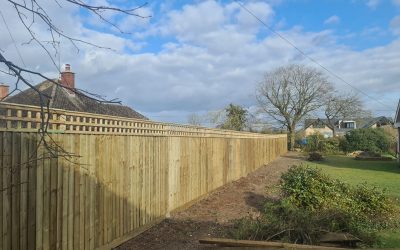 Close Board Fence And Trellis In Didcot