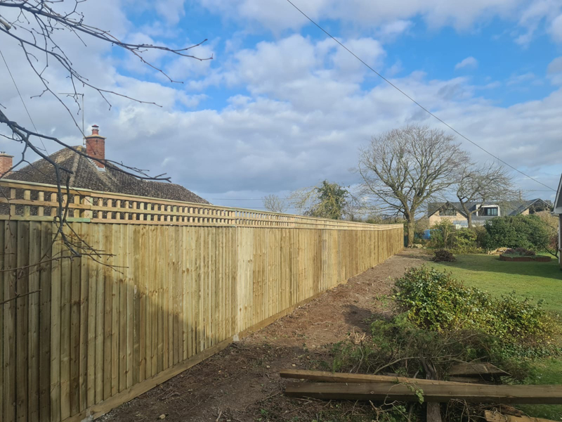 Close Board Fence And Trellis In Didcot