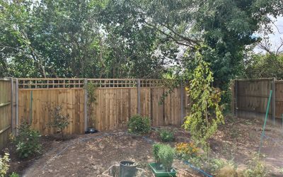 Close Board & Panel Fencing In Thame