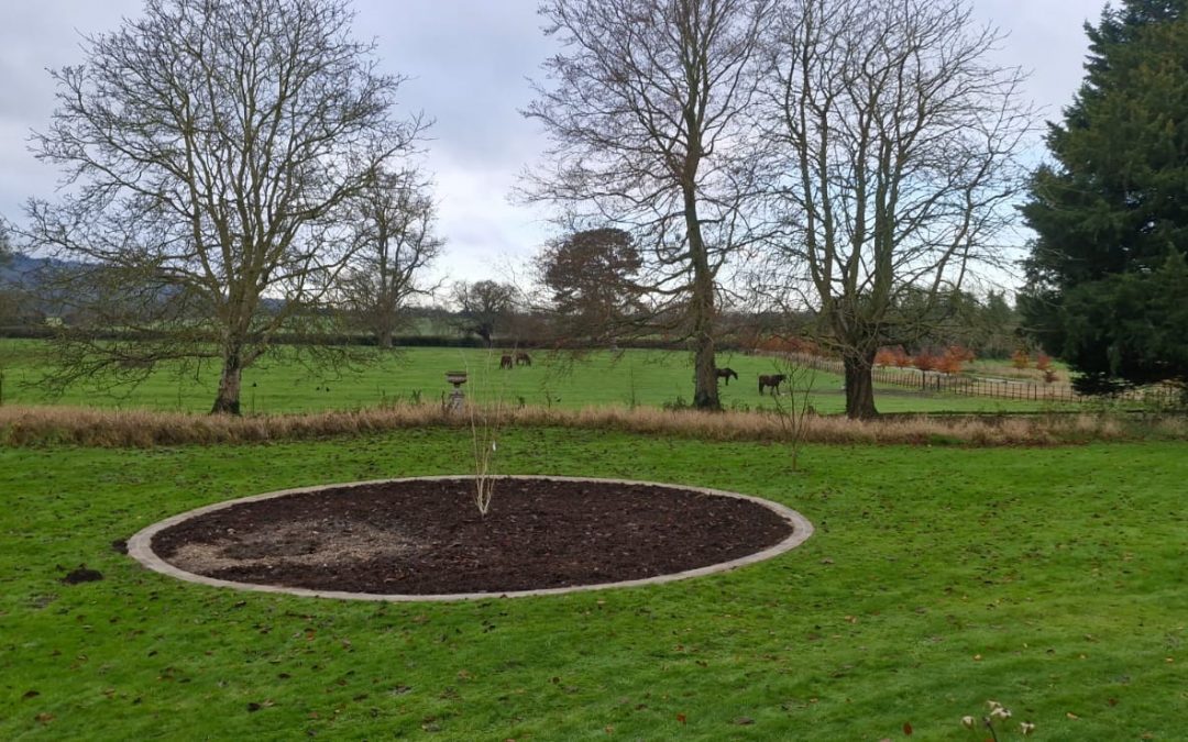 Flower Bed Creation & Stone Edging – Chinnor