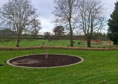 Flower Bed Creation & Stone Edging – Chinnor